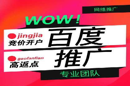 百度竞价托管公司如何实现广告投放的ROI最大化